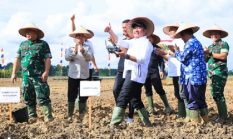 Dari 8 ke 5 Besar Nasional, HD Bidik Sumsel Masuk 3 Besar Lumbung Pangan Lewat Tanam Serentak Cetak Sawah Rakyat